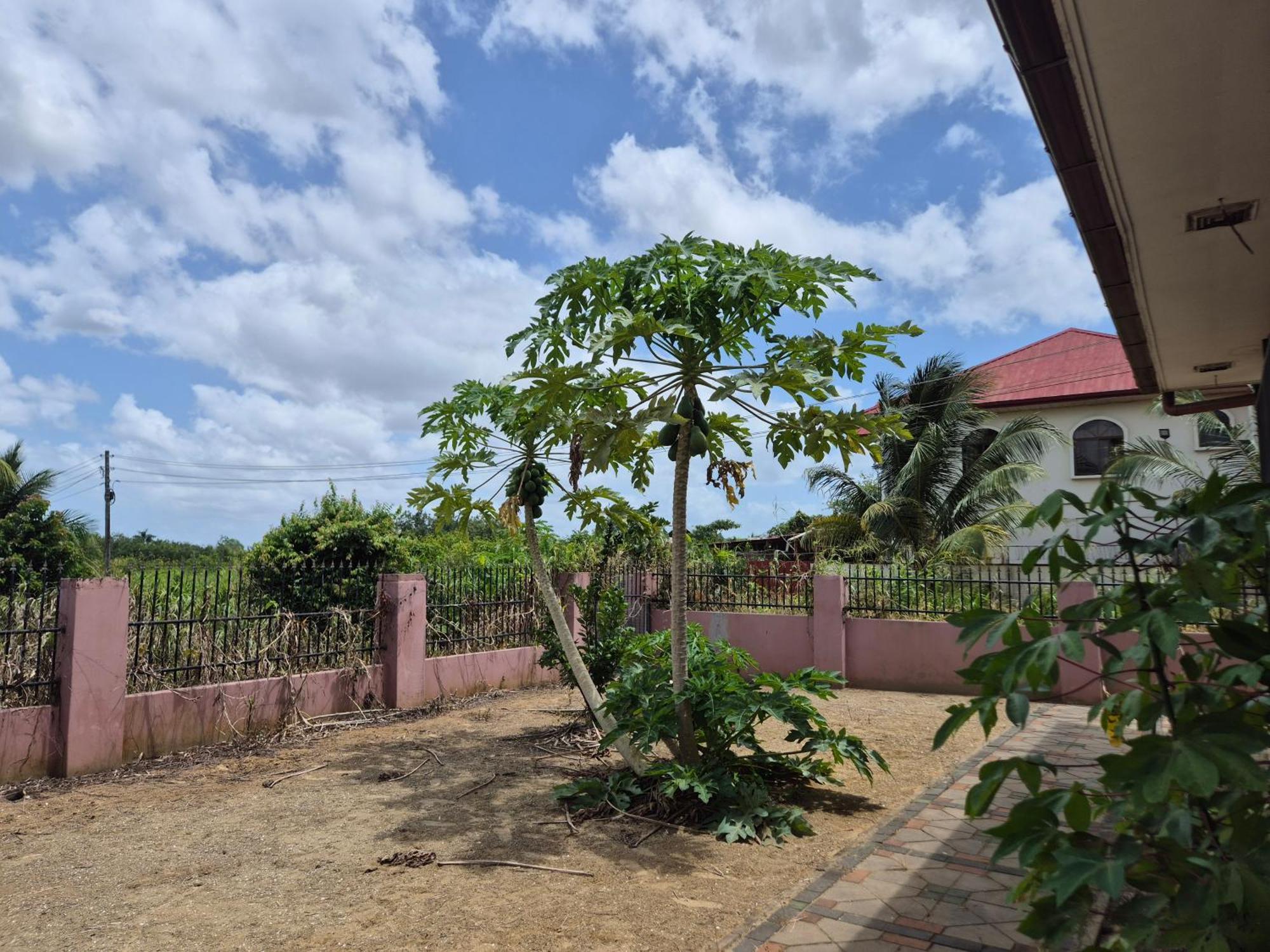 Chander'S Villa Paramaribo Exterior foto